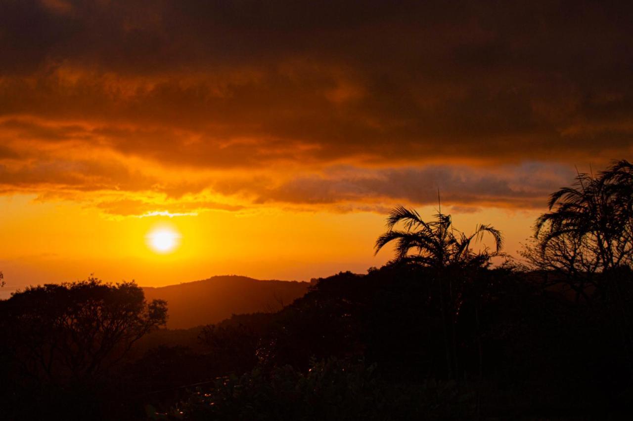 Sunset Apartahotel Monteverde