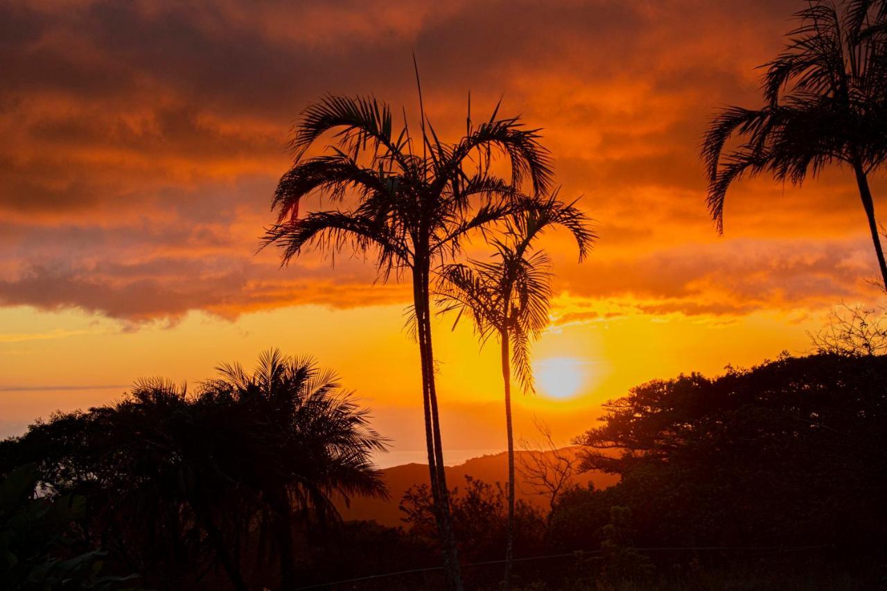 Apartahotel Sunset Monteverde